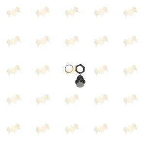 Botón push gris chico RA7-590-006-001 para Raymond