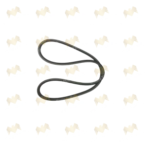 Banda YT502469910 para Yale